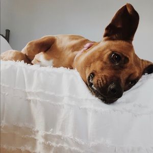 Meet your Posher, Elena